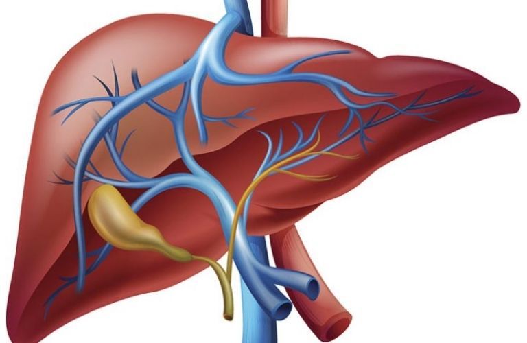 Liver Surgery and Liver Transplant - Types, Overview