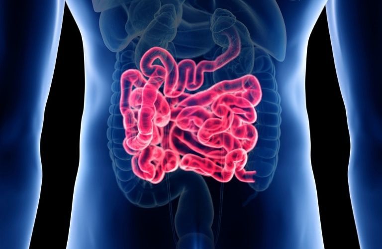 What is Small Intestine Surgery
