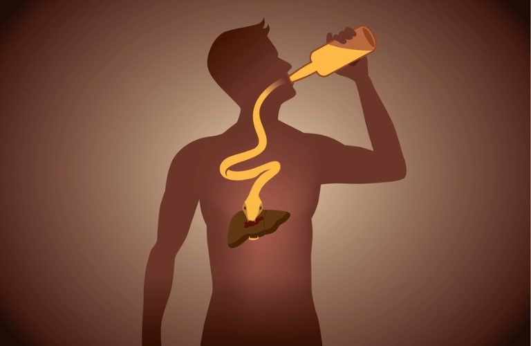 alcohol affects the liver most