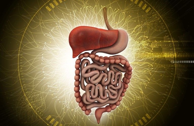 Can I improve my Digestive System at home naturally?